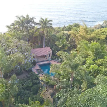 El Jardin De La Palapa * לוס ריאלחוס