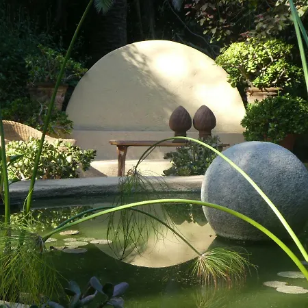 El Jardin De La Palapa לוס ריאלחוס