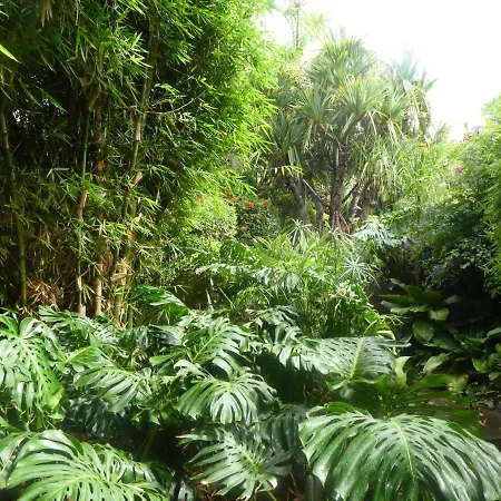 El Jardin De La Palapa * לוס ריאלחוס