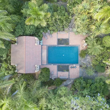 El Jardin De La Palapa וילה לוס ריאלחוס