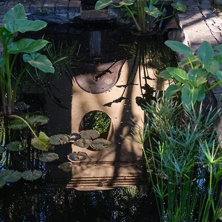 El Jardin De La Palapa Vila Los Realejos