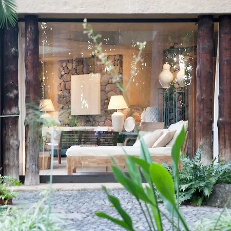El Jardin De La Palapa