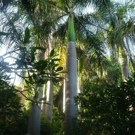 El Jardin De La Palapa *