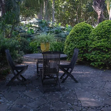 El Jardin De La Palapa لوس رياليخوس
