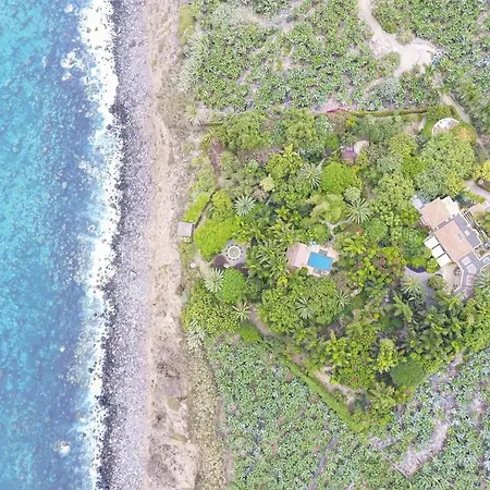 El Jardin De La Palapa فيلة لوس رياليخوس